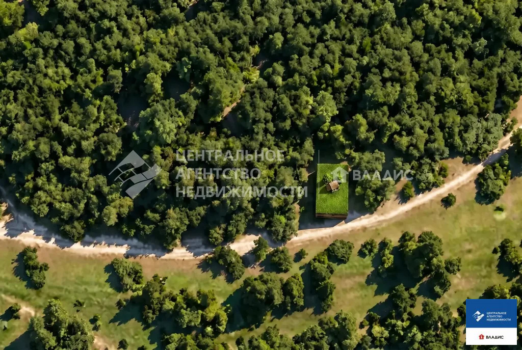 Продажа участка, Рязанский район, садоводческое товарищество ... - Фото 6