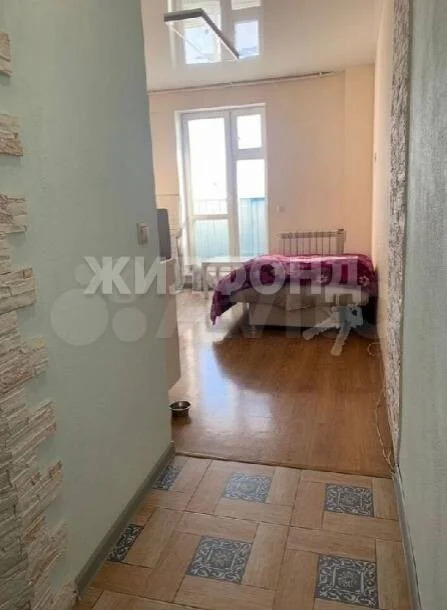 Продажа квартиры, Новосибирск, Виктора Уса - Фото 3