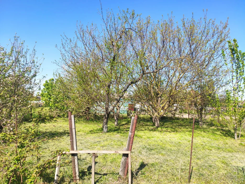 Продажа дома, Холмская, Абинский район, ул. Лысова - Фото 11