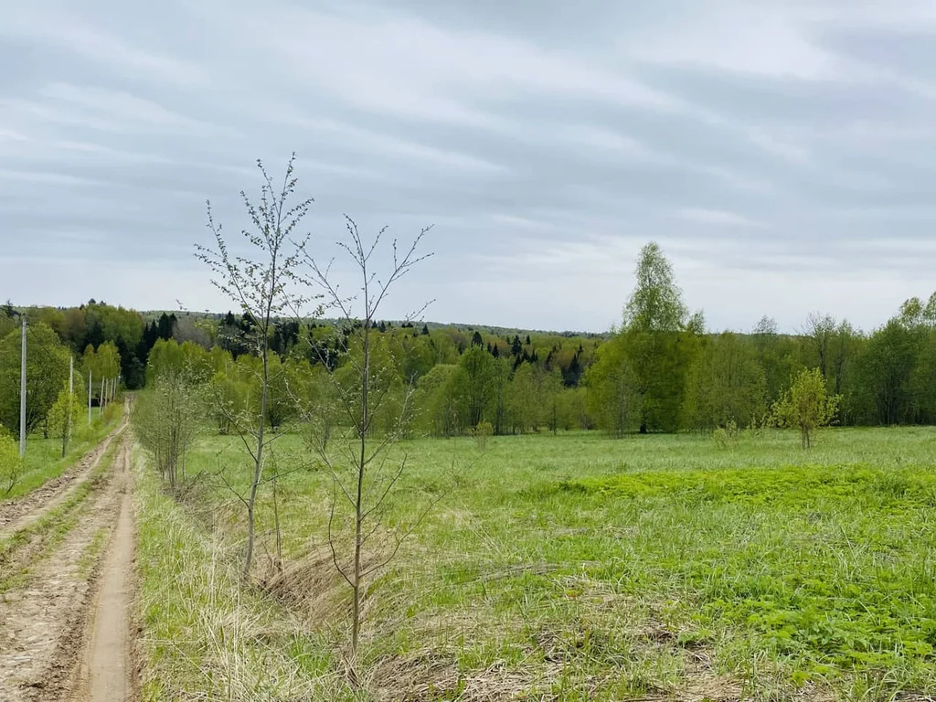 Продажа участка, Горбово, Дмитровский район - Фото 7