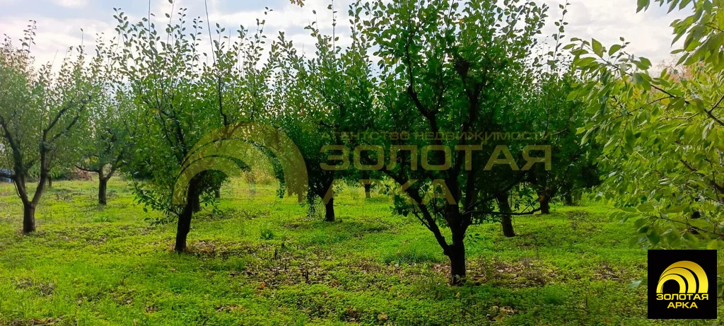 Продажа участка, Павловский, Крымский район, ул. Красная - Фото 11