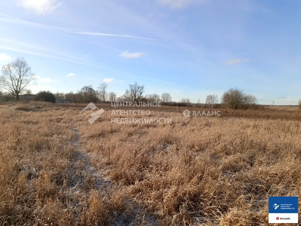 Продажа участка, Житово, Рыбновский район - Фото 6