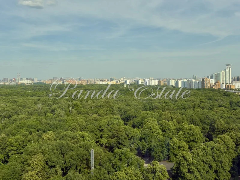 Панорамные виды на парк Сокольники (ном. объекта: 9883) - Фото 2