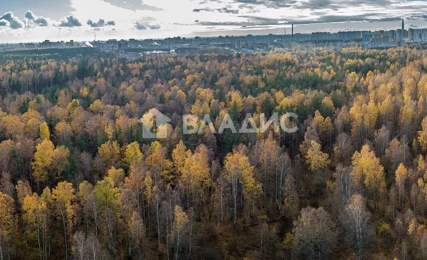 Санкт-Петербург, набережная реки Каменки, д.13к1, 2-комнатная квартира ... - Фото 14