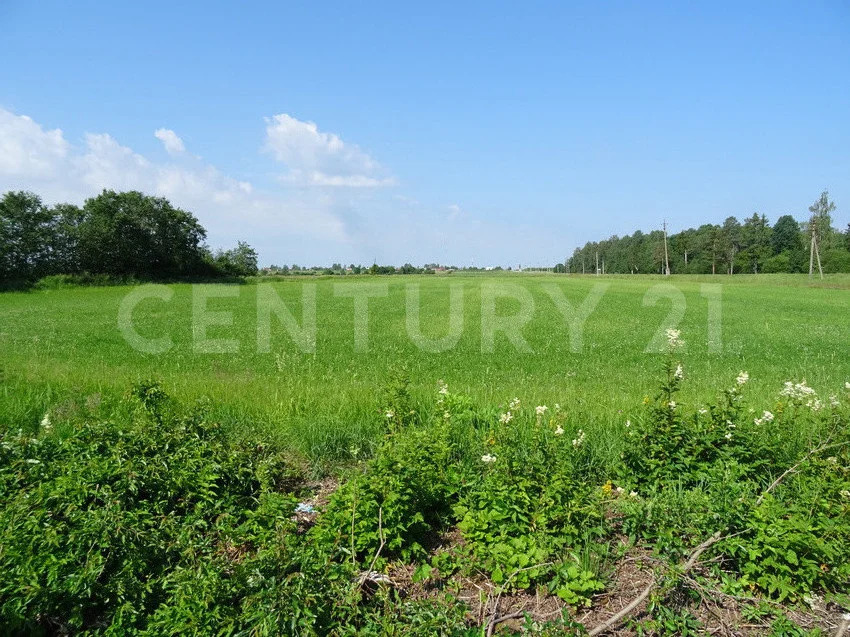 продажа земельного участка, рябово, тосненский район, рябово г.п. - Фото 0