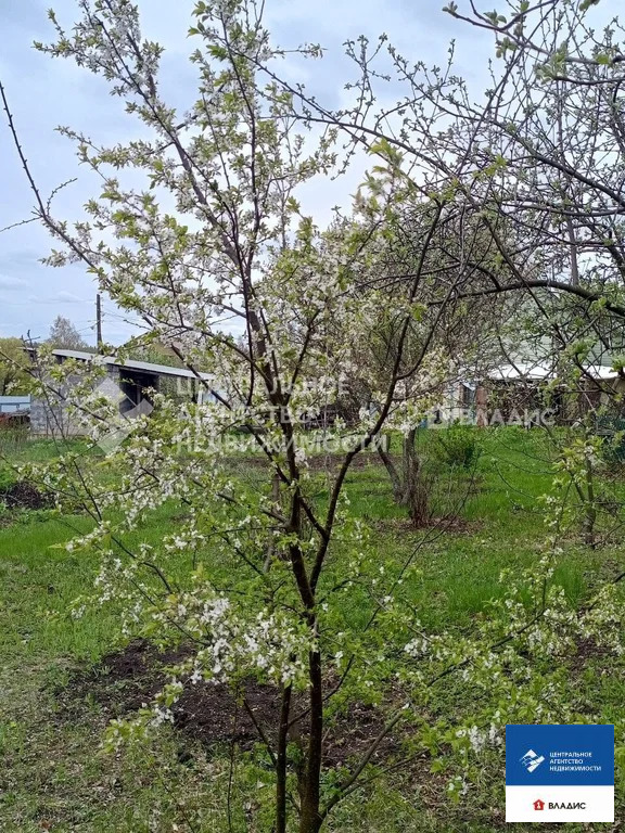 Продажа дома, Федоровка, Михайловский район, ул. Новый поселок - Фото 11