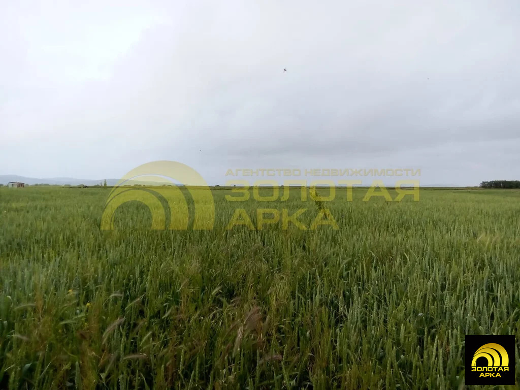 Продажа участка, Старотитаровская, Темрюкский район - Фото 1