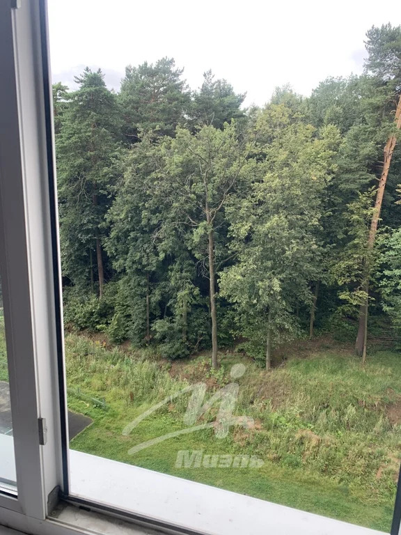 Продажа квартиры, Лопатино, Ленинский район, Сухановская ул. - Фото 35
