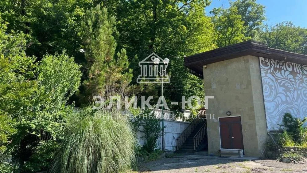 Продажа готового бизнеса, Агой, Туапсинский район, ул. Центральная - Фото 4