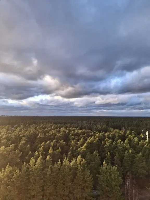 2 к. кв. г. Раменское ул. Высоковольтная д. 23 - Фото 21