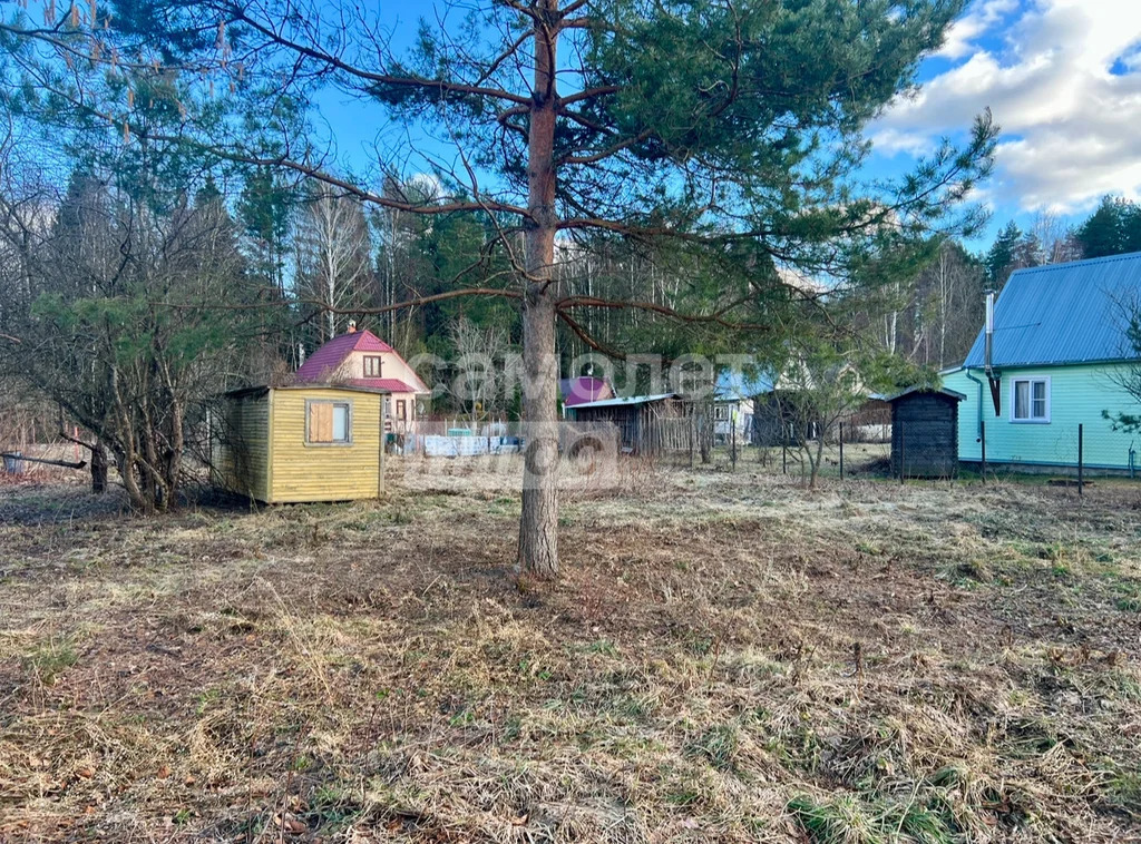 Продажа участка, Талдомский район, Журавли тер. СНТ. - Фото 8