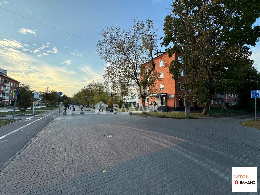 городской округ Щёлково, Щёлково, Парковая улица, д.4, 2-комнатная ... - Фото 18