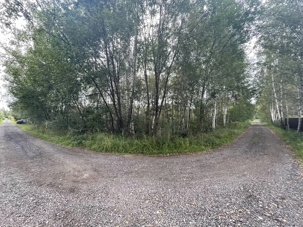 Продажа участка, Дмитровский район - Фото 9