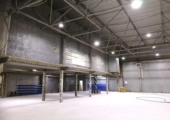 Склад с пандусом и ж/д тупиком, 3500 м - Фото 4