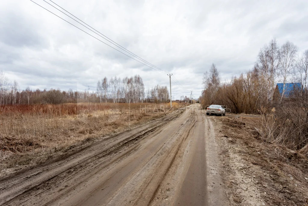 Продажа участка, Нижнетавдинский район, Нижнетавдинский р-н - Фото 4