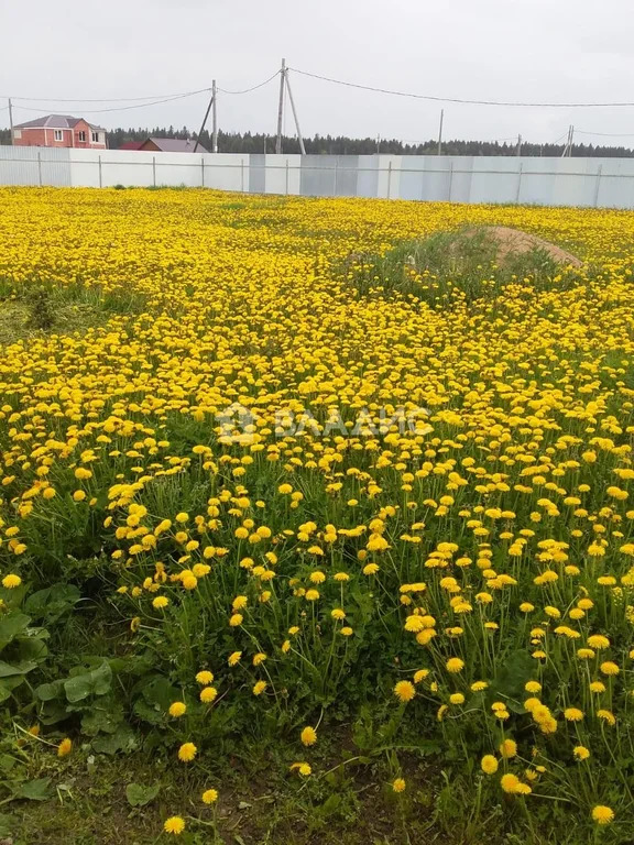 Земельный участок на продажу, Ломоносовский район, территория ... - Фото 4