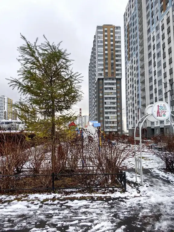 сдается 1-к. квартира: последний 23 этаж, кухня 10м, дети, животные ++ - Фото 1