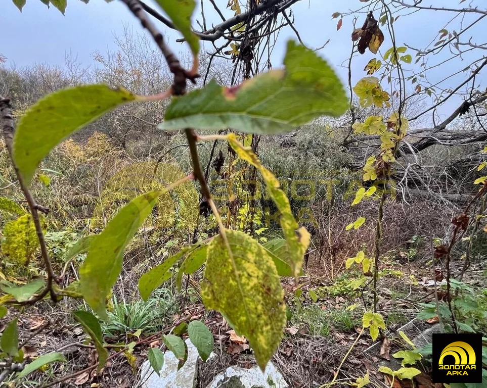 Продажа участка, Садовый, Крымский район - Фото 2