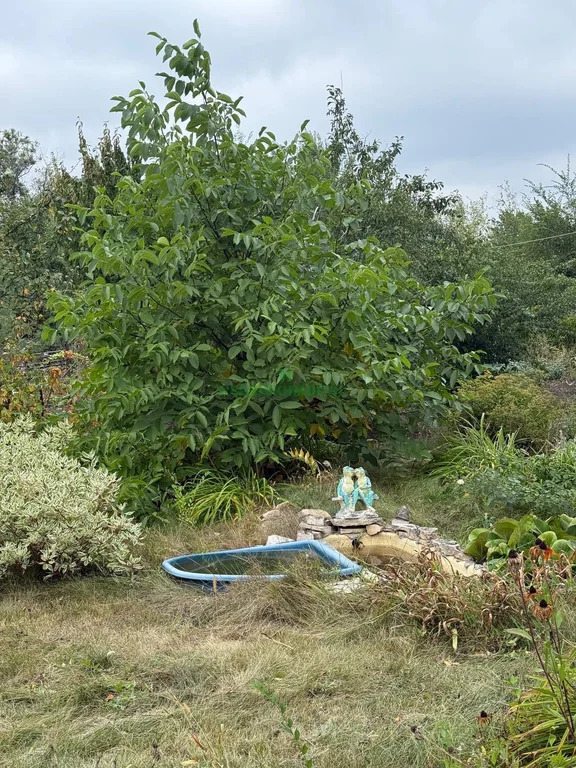 Продажа дома, Быково-Отрогское МО, Балаковский район, 626 - Фото 4