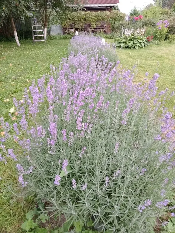 Продам дом - Фото 19