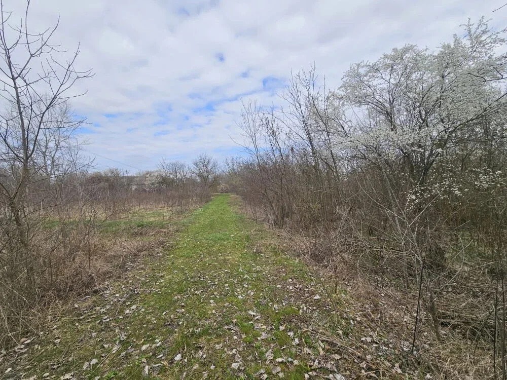 Продажа участка, Мингрельская, Абинский район - Фото 1