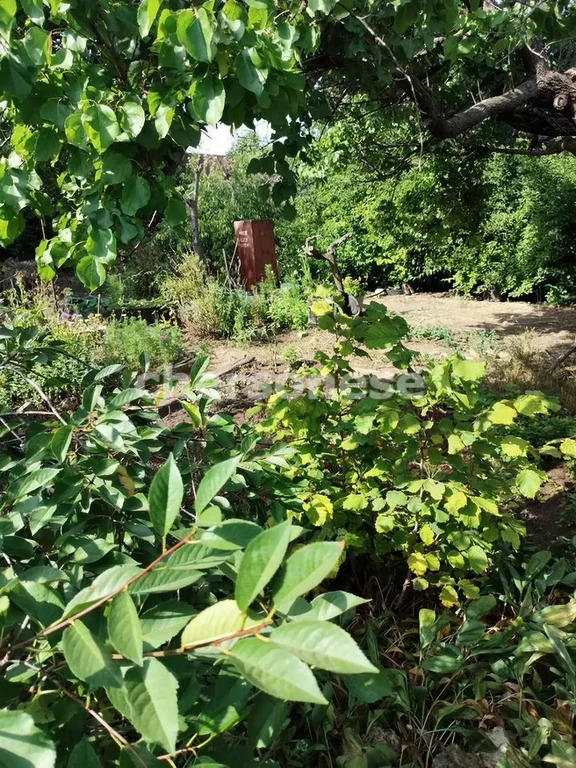 Продажа участка, Севастополь, территория СТ Сапун-гора - Фото 1