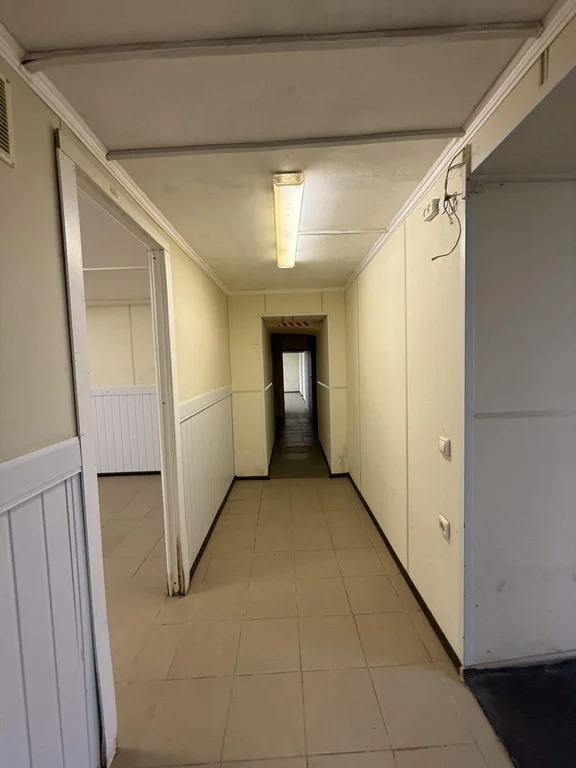 Аренда помещения 322 кв.м. - Петроградский район - Фото 12