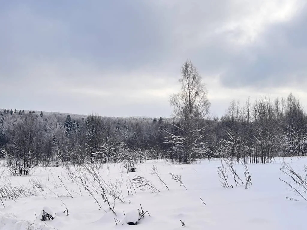 Продажа участка, Горбово, Дмитровский район - Фото 3