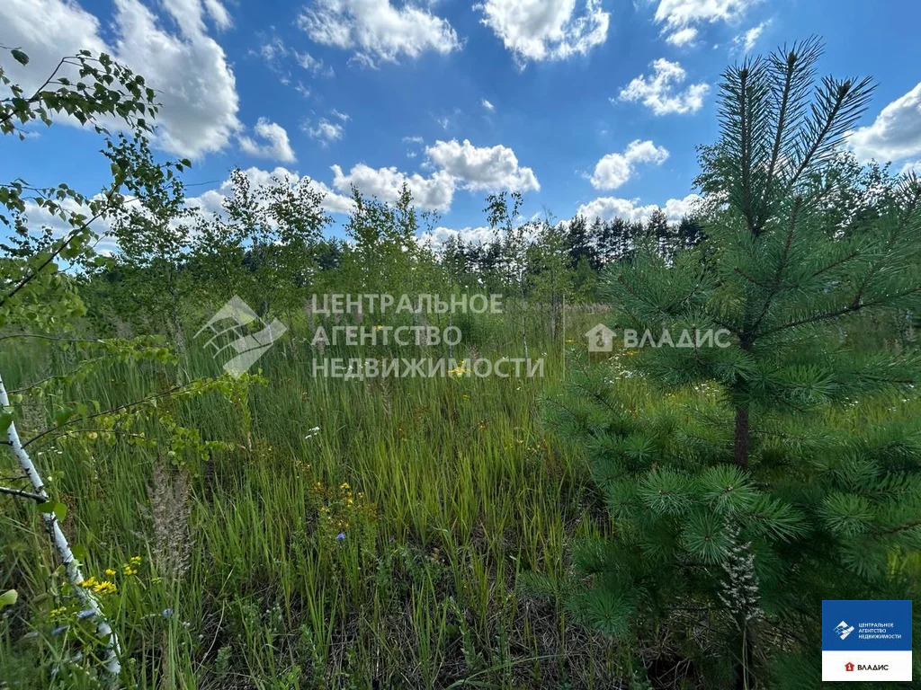 Продажа участка, Рязанский район - Фото 4