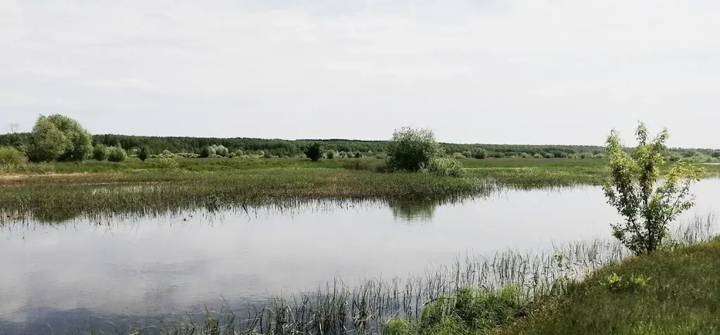 Продается рекреационно-туристический участок 20 Га в Воронеже. - Фото 4