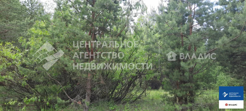Продажа участка, Сумбулово, Спасский район - Фото 3