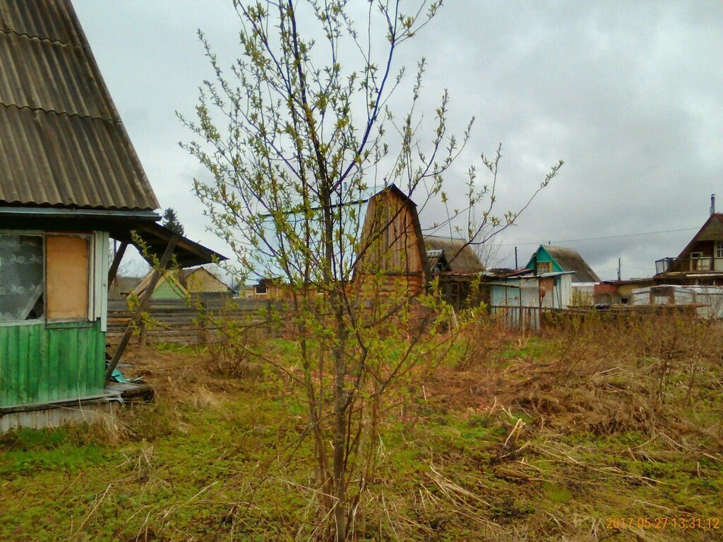 Погода в морово. Морово Сыктывкар. Дачи в Морово. Морово фото.