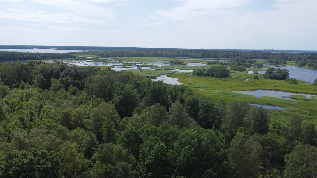 Продажа участка, Выборгский район, улица Зиминская - Фото 20