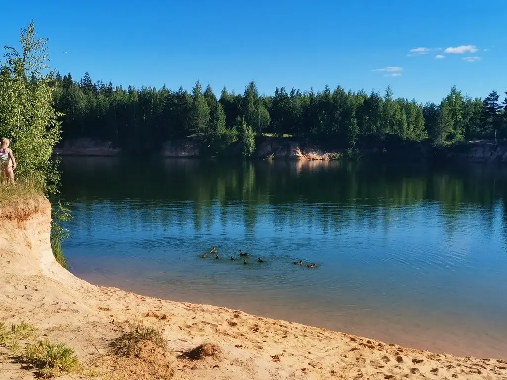 Продажа дачи в сад-ве Новинка. - Фото 14