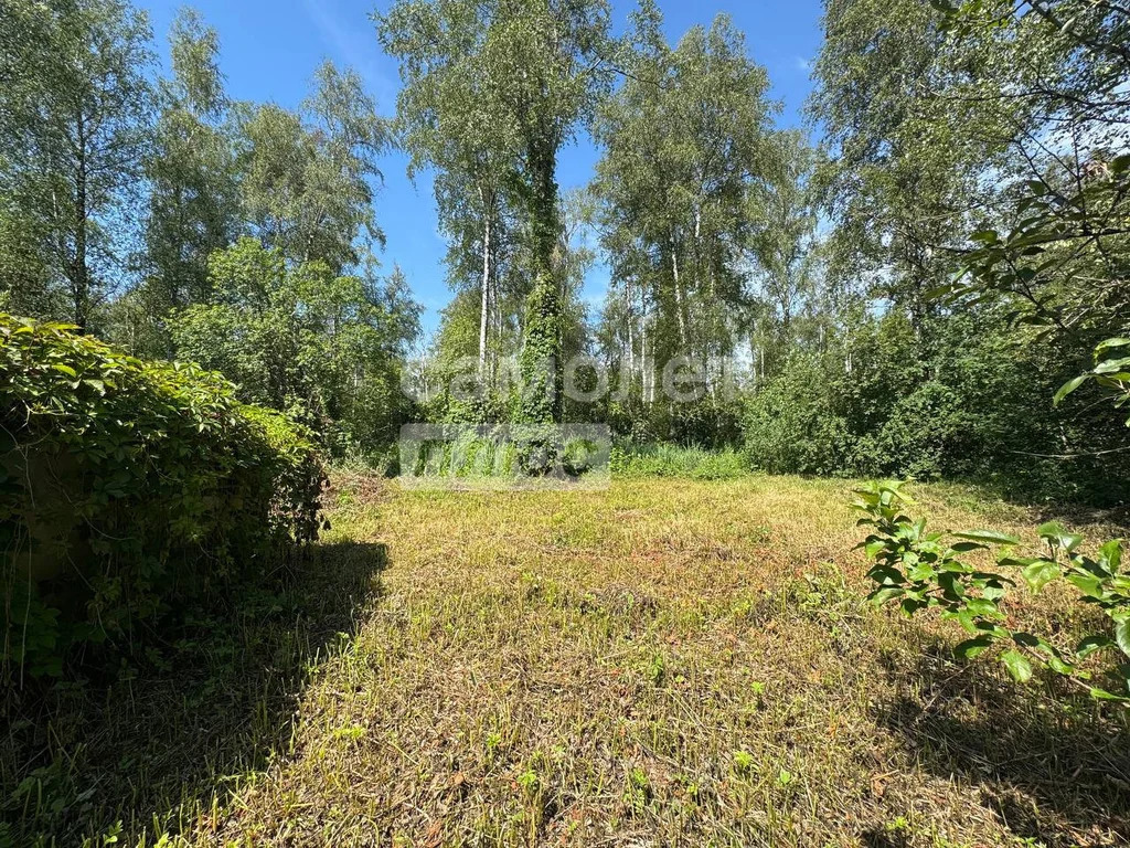 Продажа участка, Дмитров, Дмитровский район - Фото 7