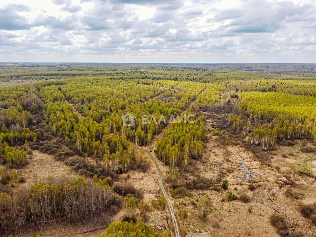Судогодский район, деревня Кощеево, земля на продажу - Фото 1