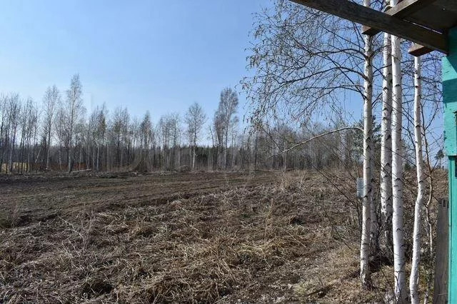 Погода стеклянка ангарский. Д Зуй Ангарского района. Садоводство Стеклянка Иркутск.