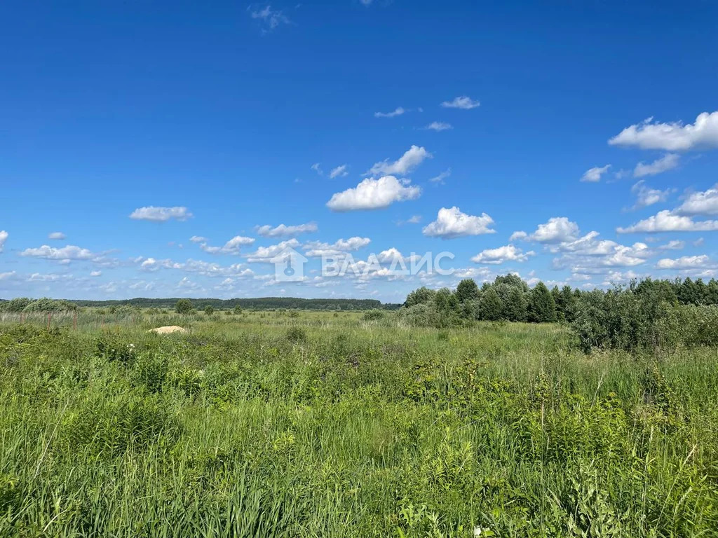 Суздальский район, село Новое,  дом на продажу - Фото 4