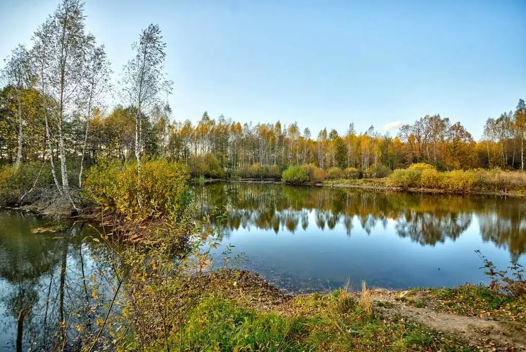 Горневская слобода калуга фото