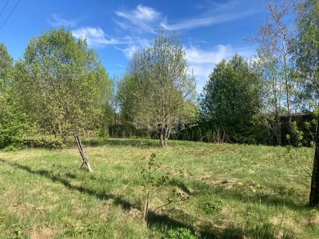 Купить Земельный Участок В Тверской Области