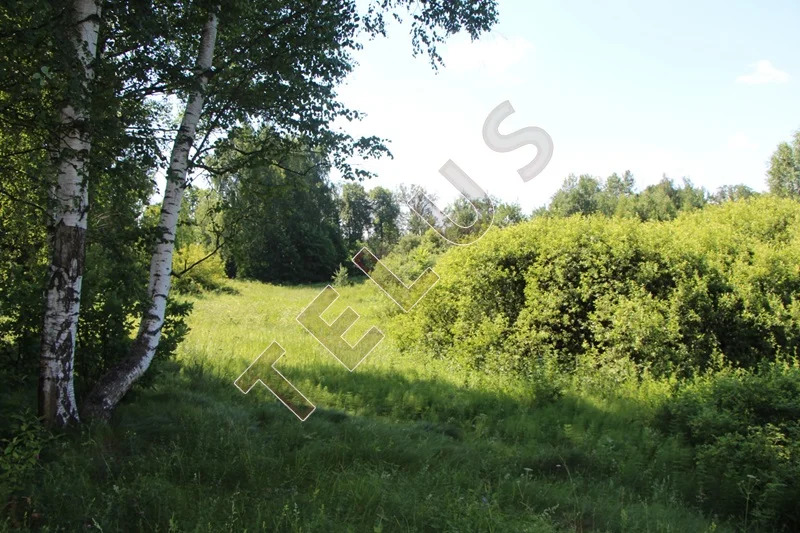 МО, Богородский г.о., с. Богослово, Земельный участок 7 га (ном. ... - Фото 11