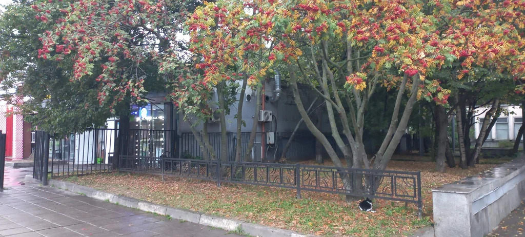 Земельные участки - Фото 7