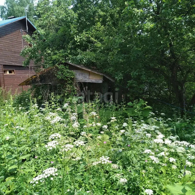 Купить Дачу Участок Сергиево Посадский Район