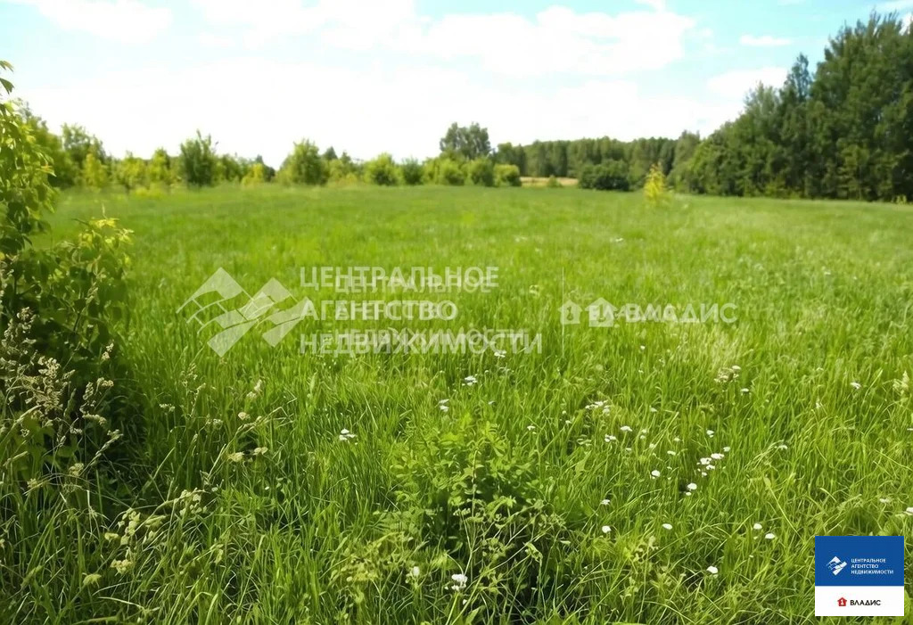 Продажа дома, Данево, Касимовский район - Фото 9