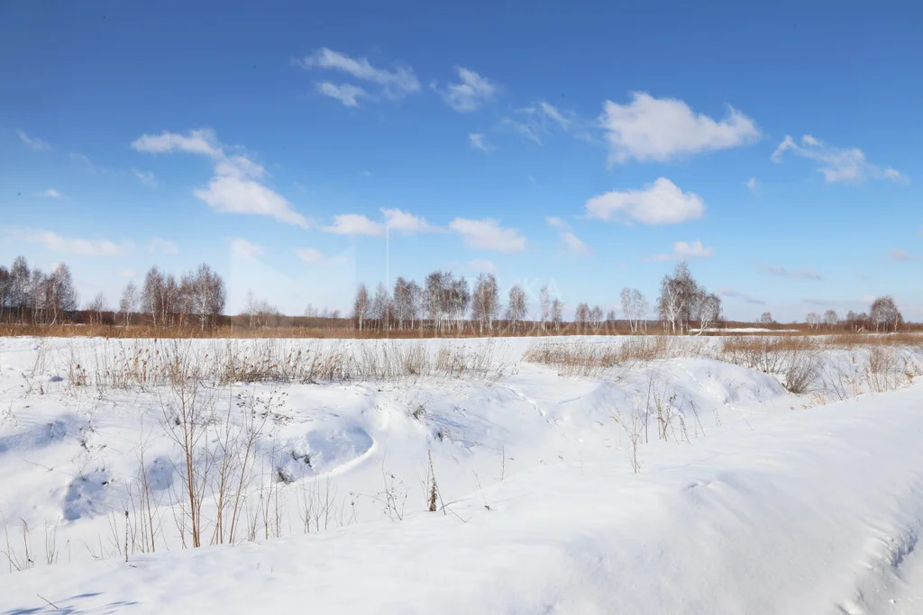 Продажа участка, Червишево, Тюменский район, Тюменский р-н - Фото 5