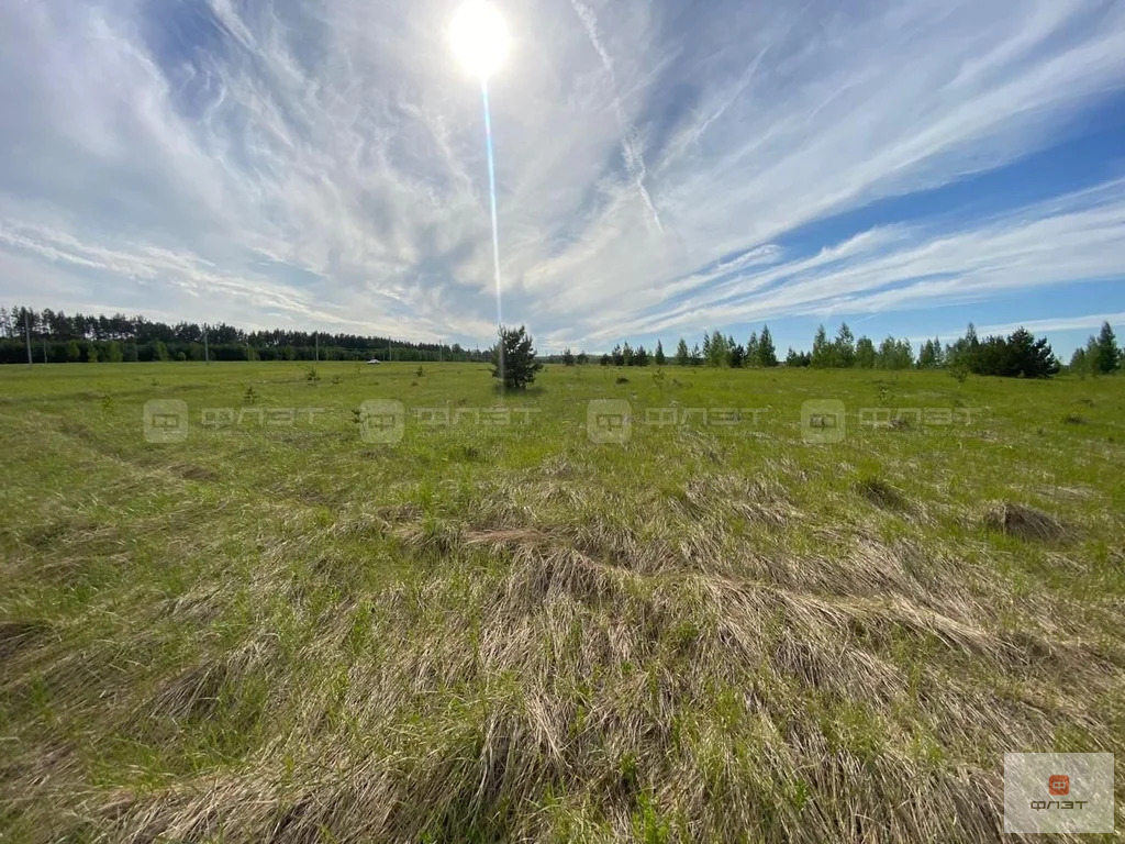 Продажа участка, Лабышка, Камско-Устьинский район, ул. Астрономическая - Фото 5