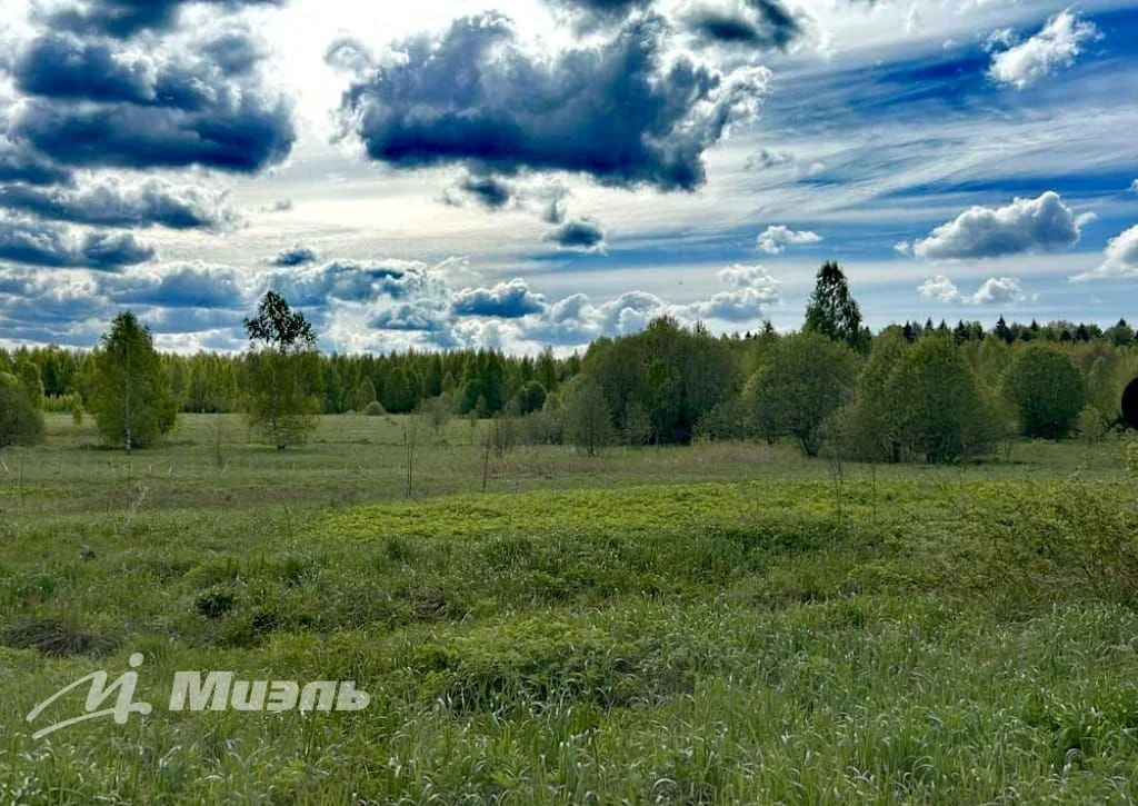 Объект 553859 - Фото 10