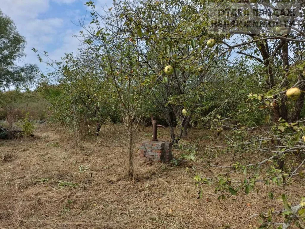 Дачный участок - Фото 6