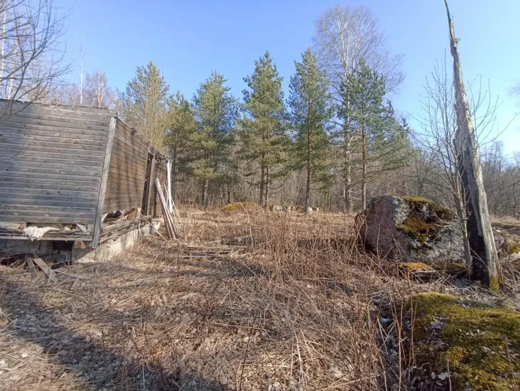 Участок в 100 м от озера Губановское - Фото 14