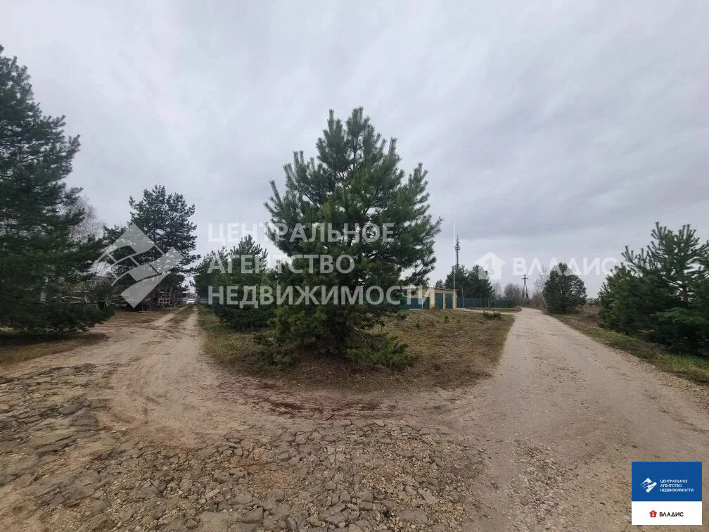 Продажа участка, Дубровичи, Рязанский район - Фото 6